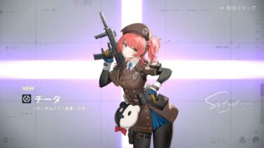 【ドルフロ2】チータとクシーニャ一緒に使うのは有り？？？