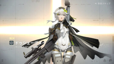 【ドルフロ2】ヌイって実質メイン武器は信号弾発射装置じゃないの？？？