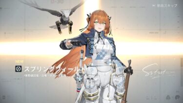 【ドルフロ2】スプリングフィールドは3凸と餅あればいいんかな？？？